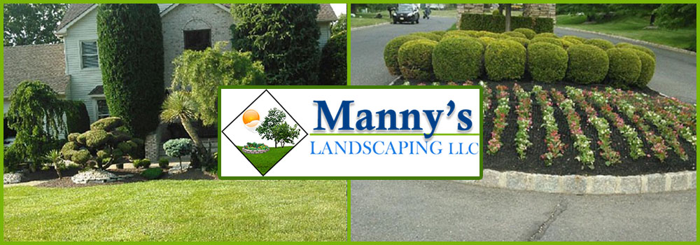 Nj Flower Bush Tree Landscape Planting, Landscaping Monmouth County